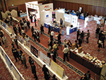 ICP 2007 Japan Meeting